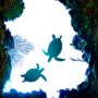 нижний уровень потолка на прозрачной плёнке
